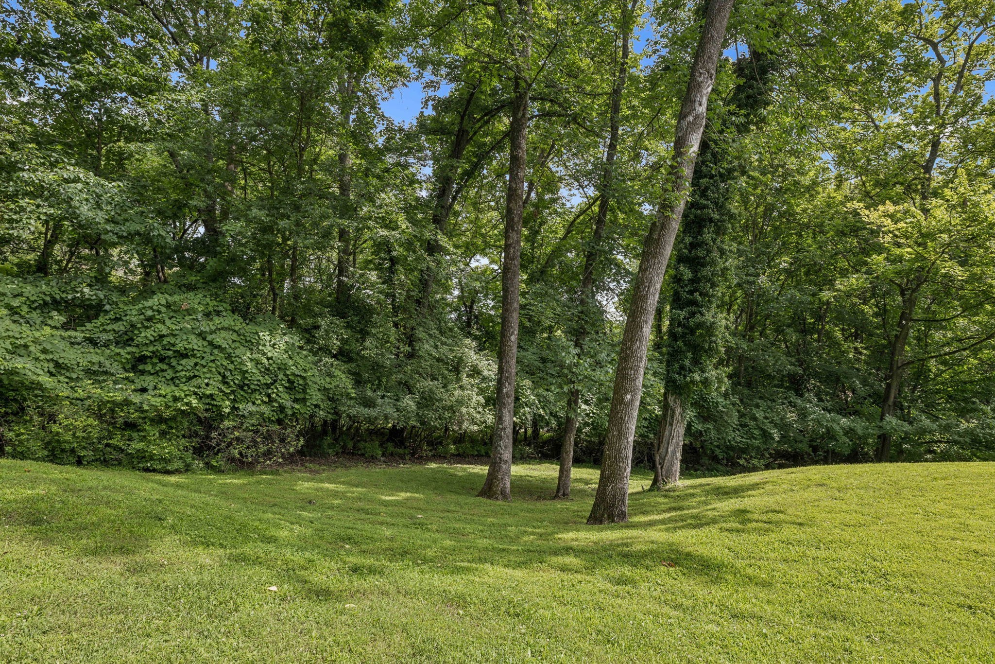 926 Overton Lea Road Nashville, TN 37220 - Photo 96 of 99