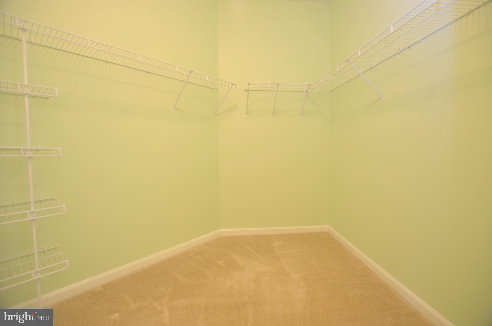 341 Pierce Run Newark, DE 19702 - Photo 15 of 40 Primary Walk-In Closet