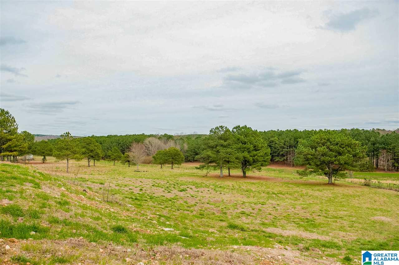 1085 Jones Chapel Loop Springville, AL 35146 - Photo 20 of 32