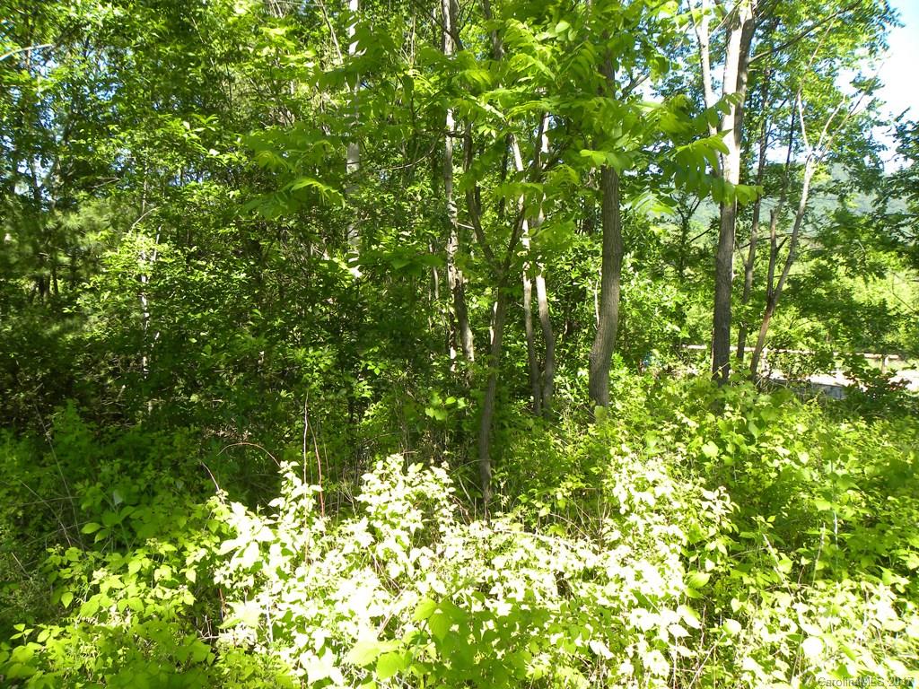 0 Crabtree Mountain Road Canton, NC 28716 - Photo 3 of 3