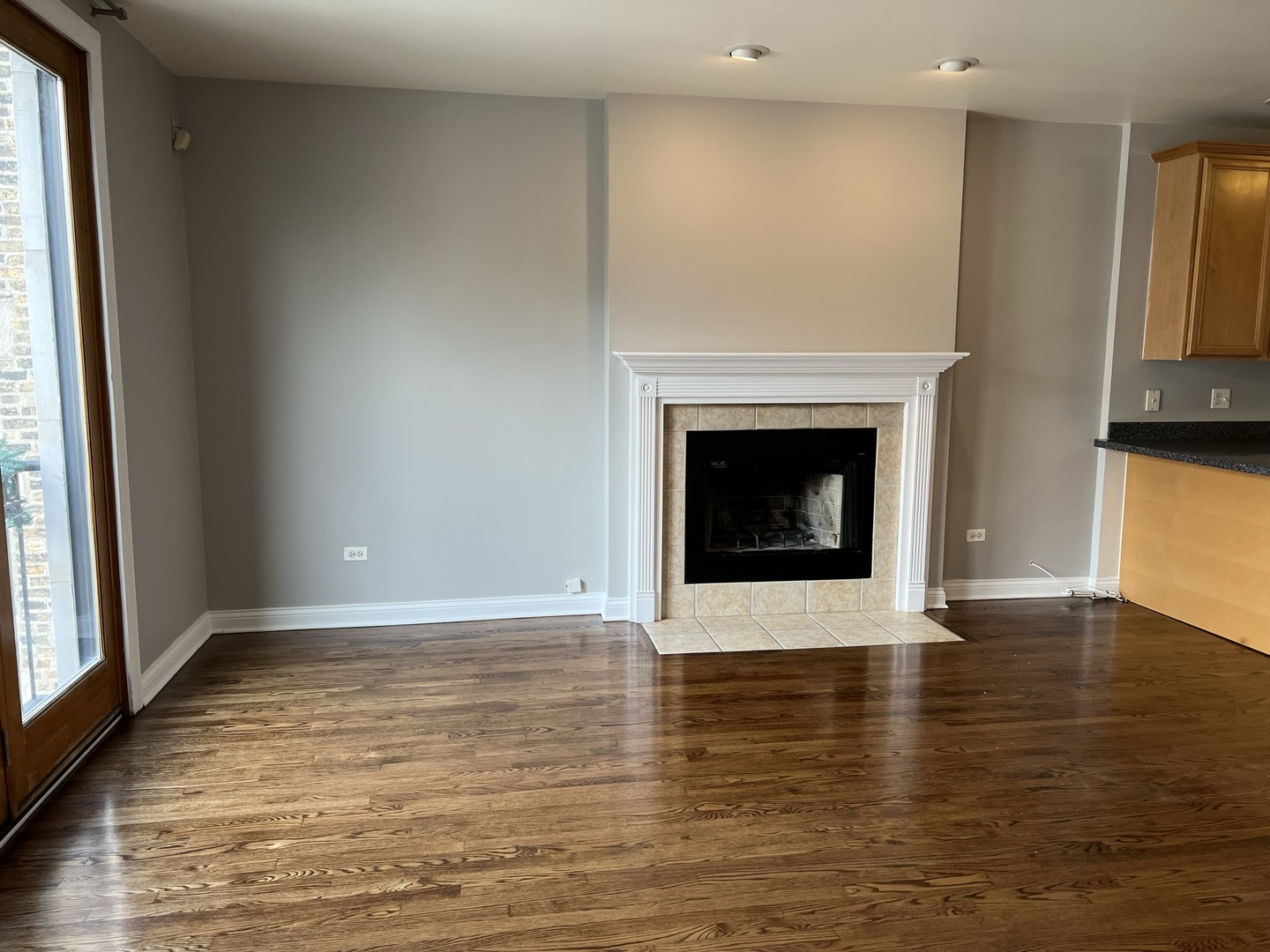 2649 West Rice Street Chicago, IL 60622 - Photo 10 of 14 a view of an empty room with window and fireplace