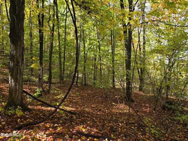 $35,000 | L25 River Road, Ticonderoga, NY 12883