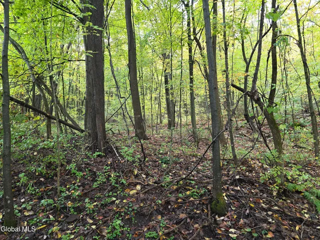 $35,000 | L25 River Road, Ticonderoga, NY 12883