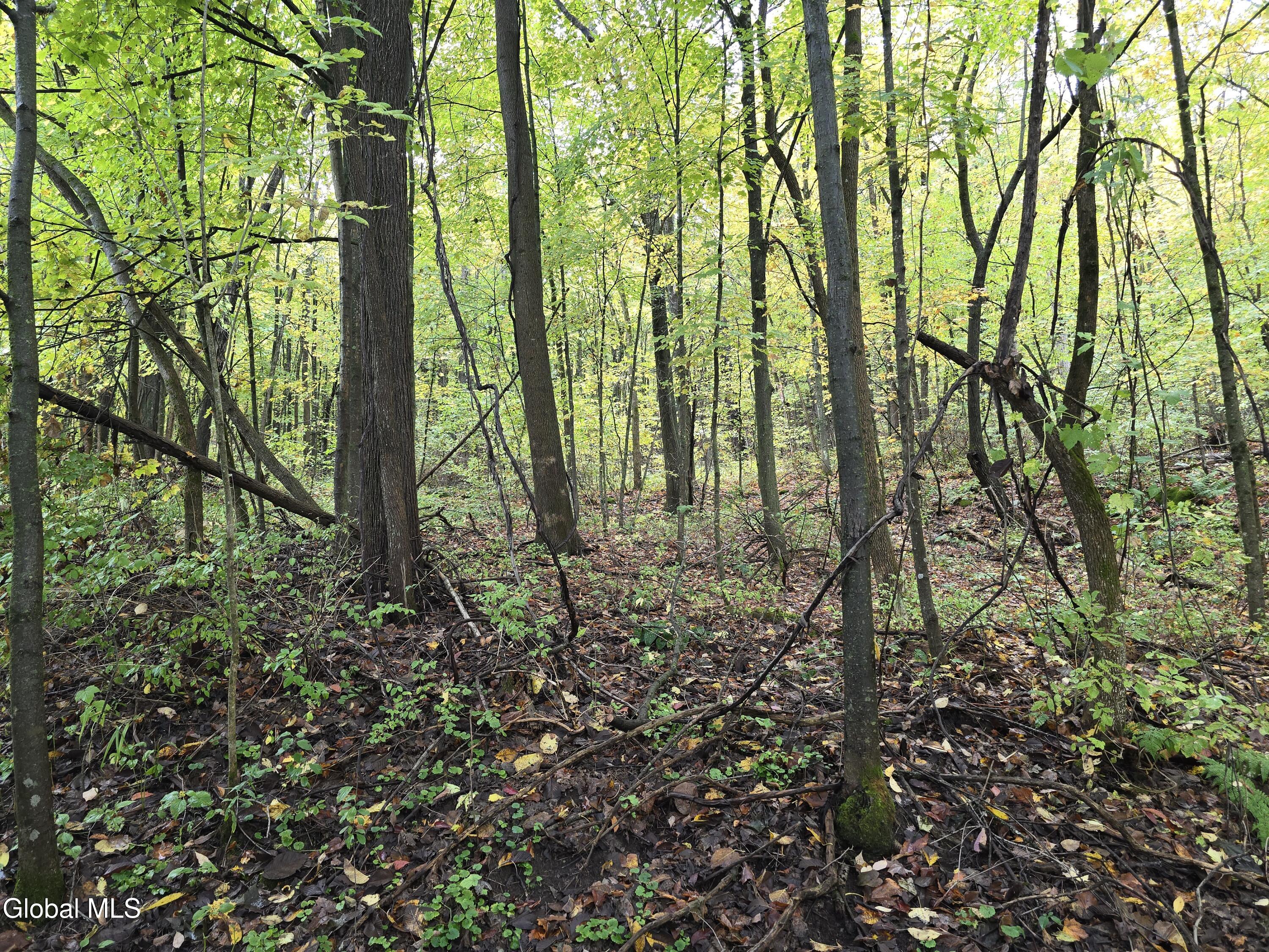 L25 River Road Ticonderoga, NY 12883 - Photo 11 of 11 20250926_132005