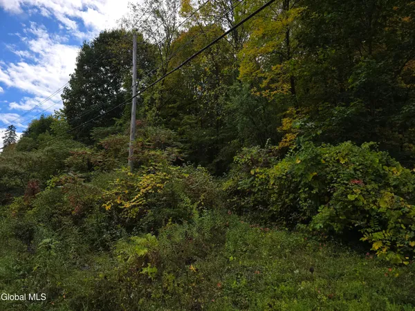 $29,900 | L25 River Road, Ticonderoga, NY 12883