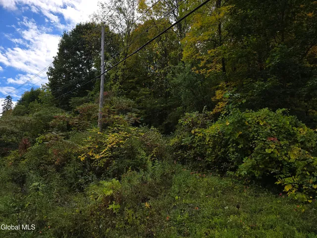 $35,000 | L25 River Road, Ticonderoga, NY 12883