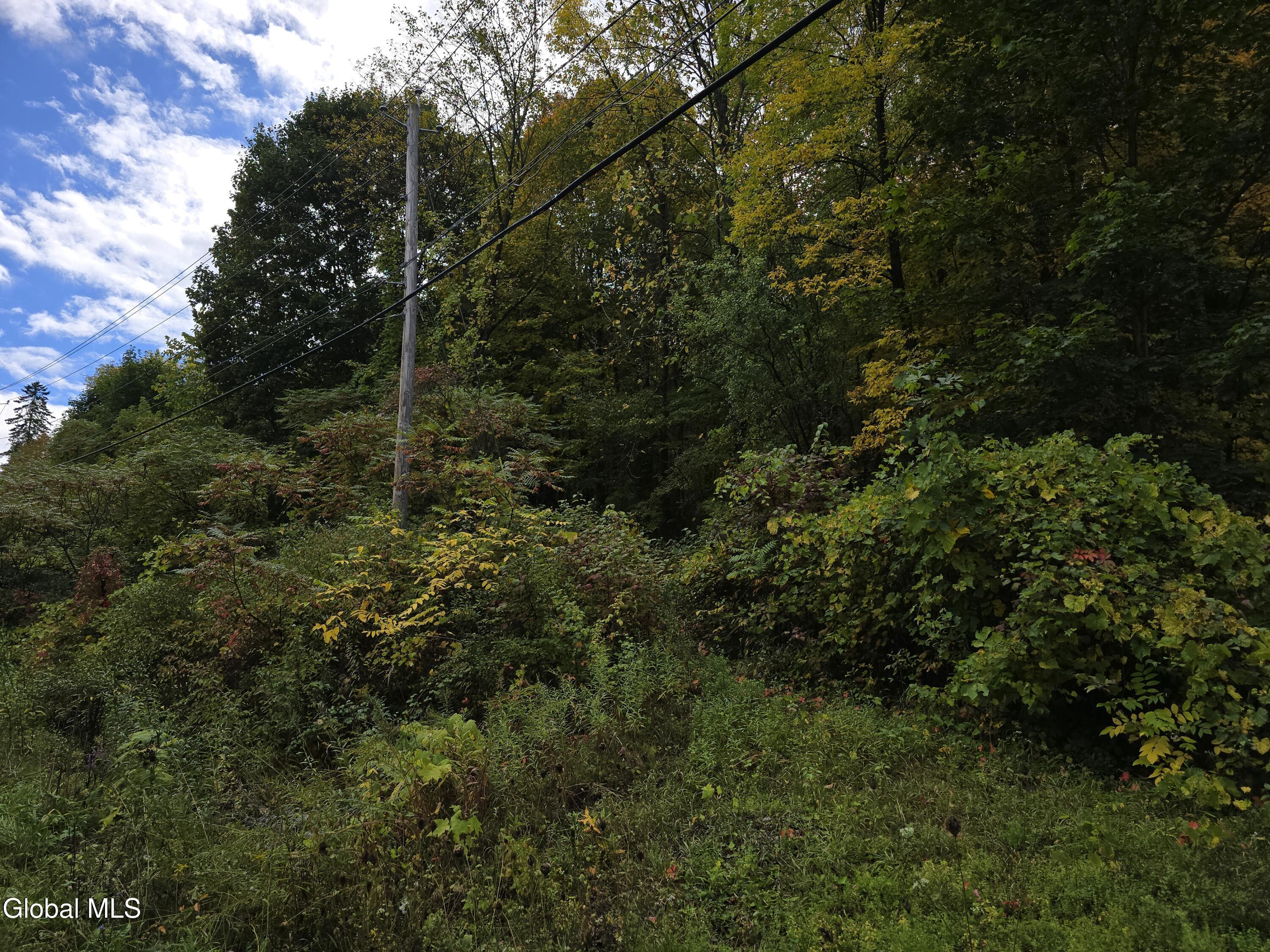 L25 River Road Ticonderoga, NY 12883 - Photo 2 of 11 entrance