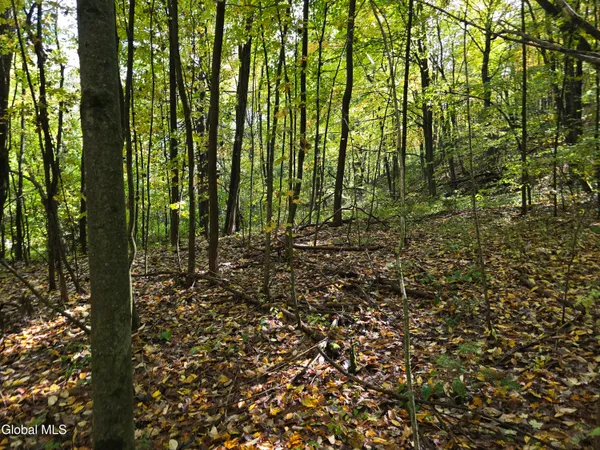 $29,900 | L25 River Road, Ticonderoga, NY 12883