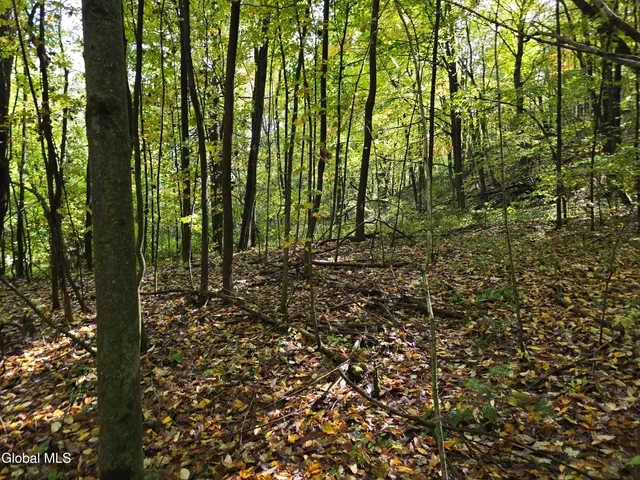 $35,000 | L25 River Road, Ticonderoga, NY 12883