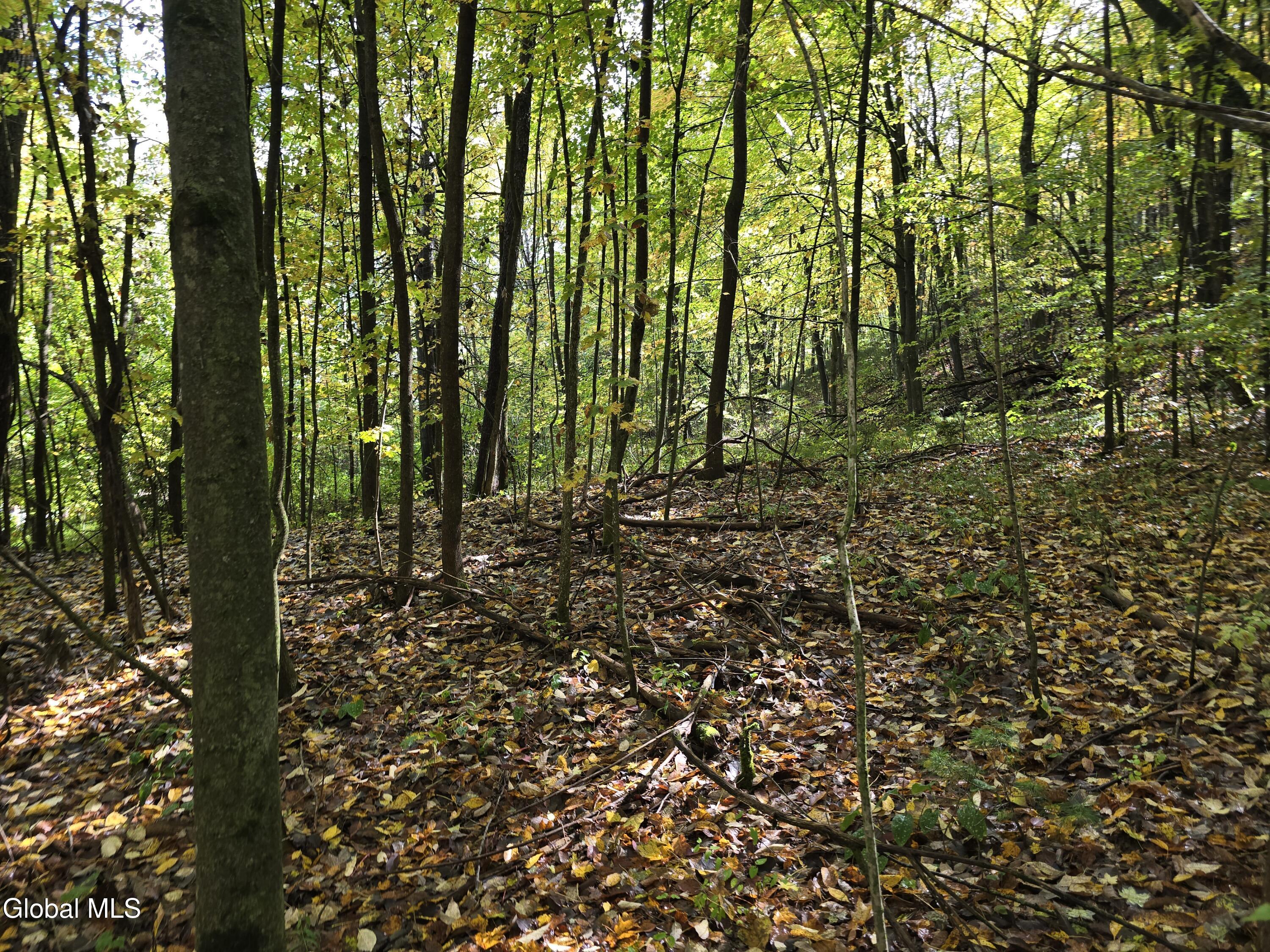 L25 River Road Ticonderoga, NY 12883 - Photo 4 of 11 20250926_133628