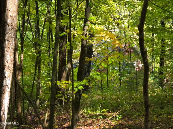 $29,900 | L25 River Road, Ticonderoga, NY 12883