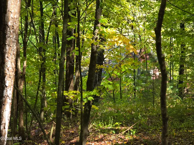 $35,000 | L25 River Road, Ticonderoga, NY 12883