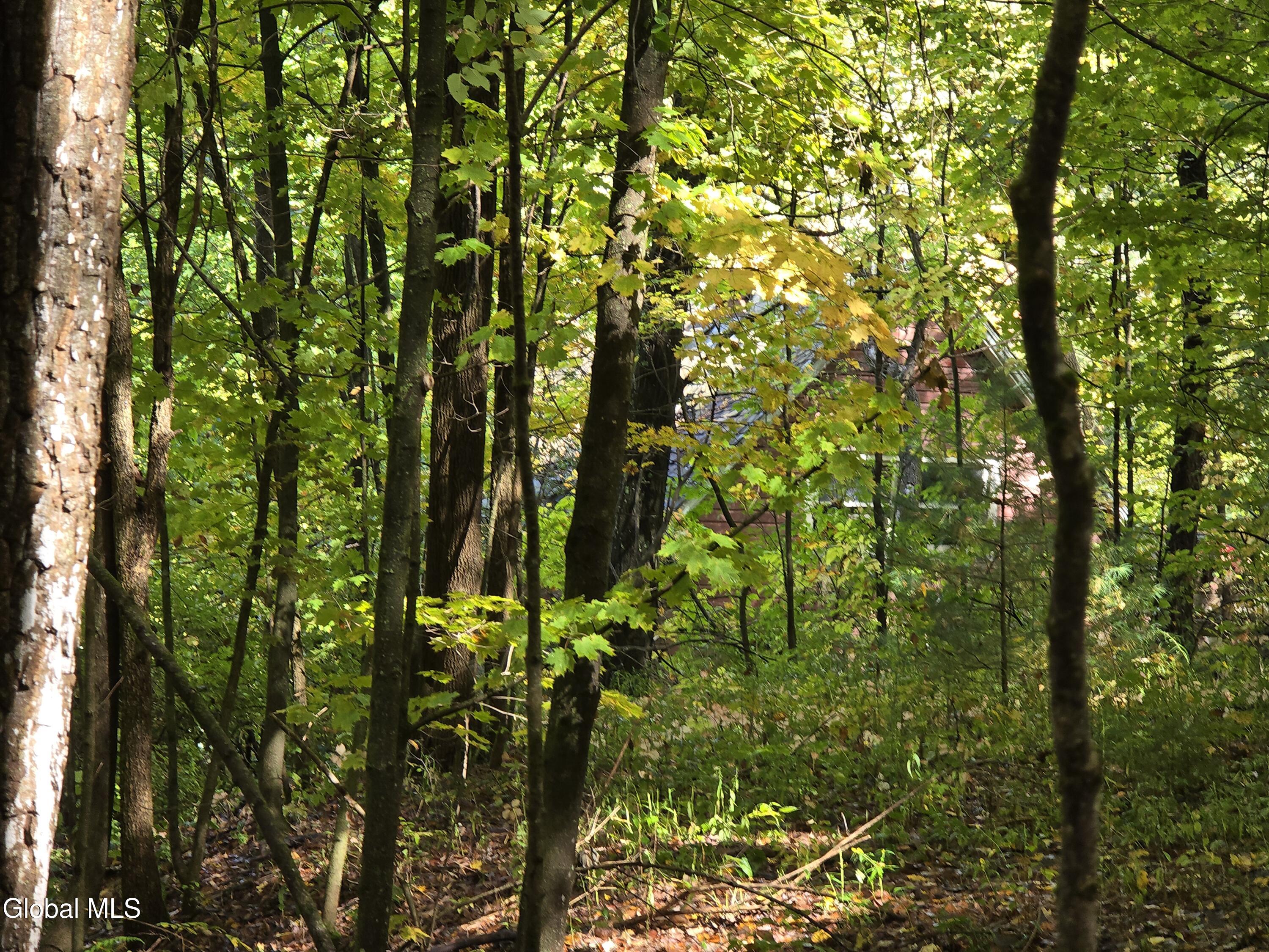 L25 River Road Ticonderoga, NY 12883 - Photo 5 of 11 20250926_133612