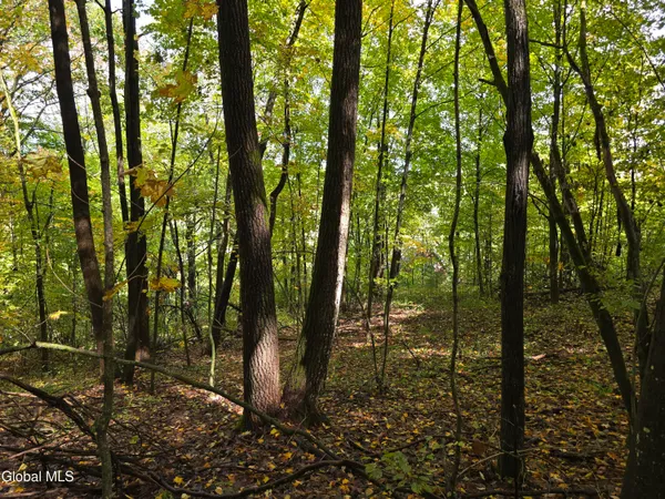 $29,900 | L25 River Road, Ticonderoga, NY 12883