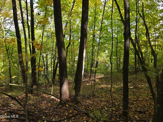 $35,000 | L25 River Road, Ticonderoga, NY 12883