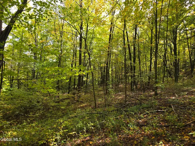 $35,000 | L25 River Road, Ticonderoga, NY 12883