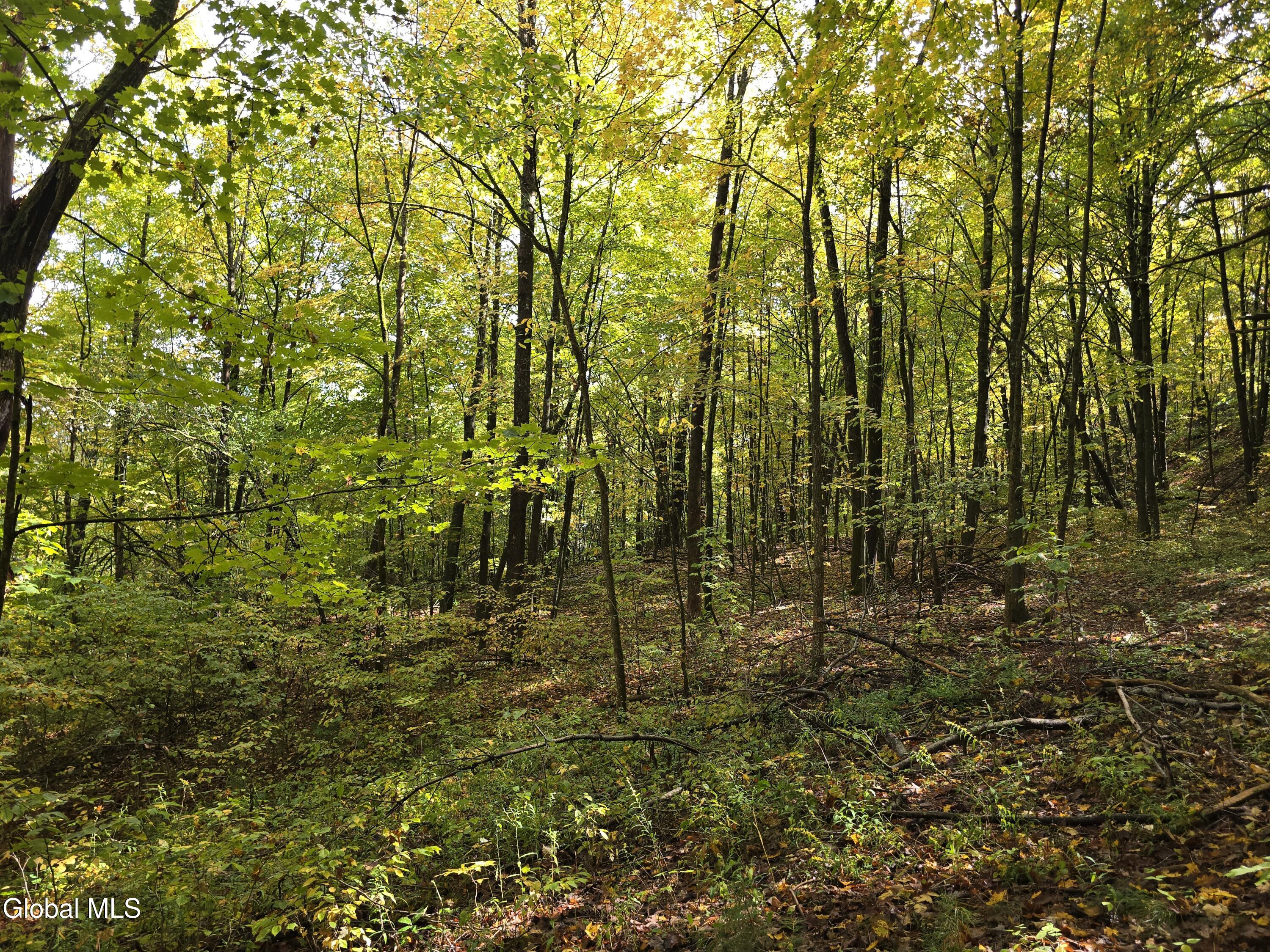 L25 River Road Ticonderoga, NY 12883 - Photo 7 of 11 20250926_133506