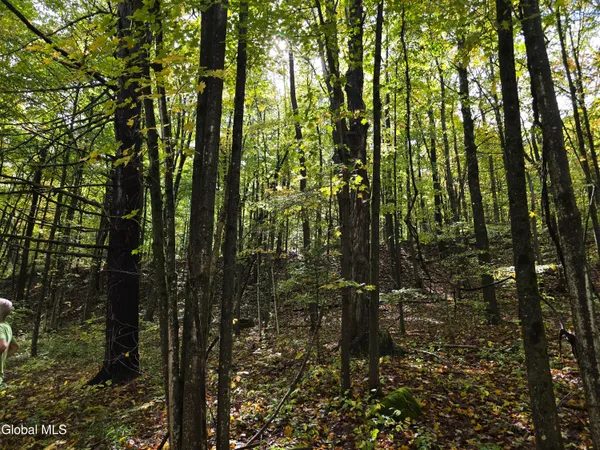 $29,900 | L25 River Road, Ticonderoga, NY 12883