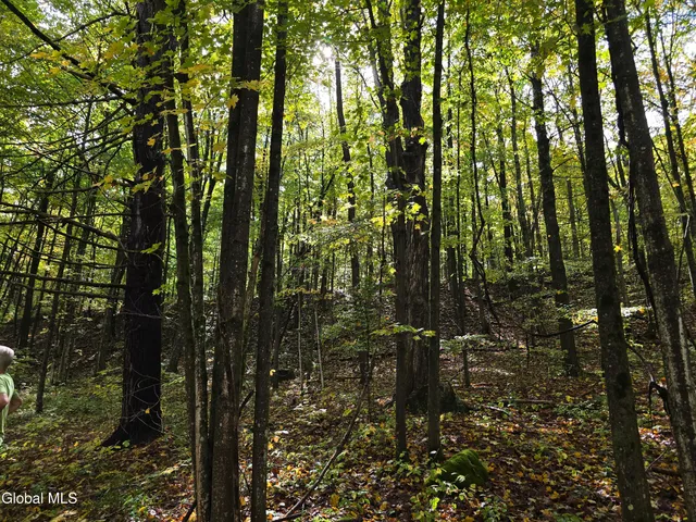 $35,000 | L25 River Road, Ticonderoga, NY 12883