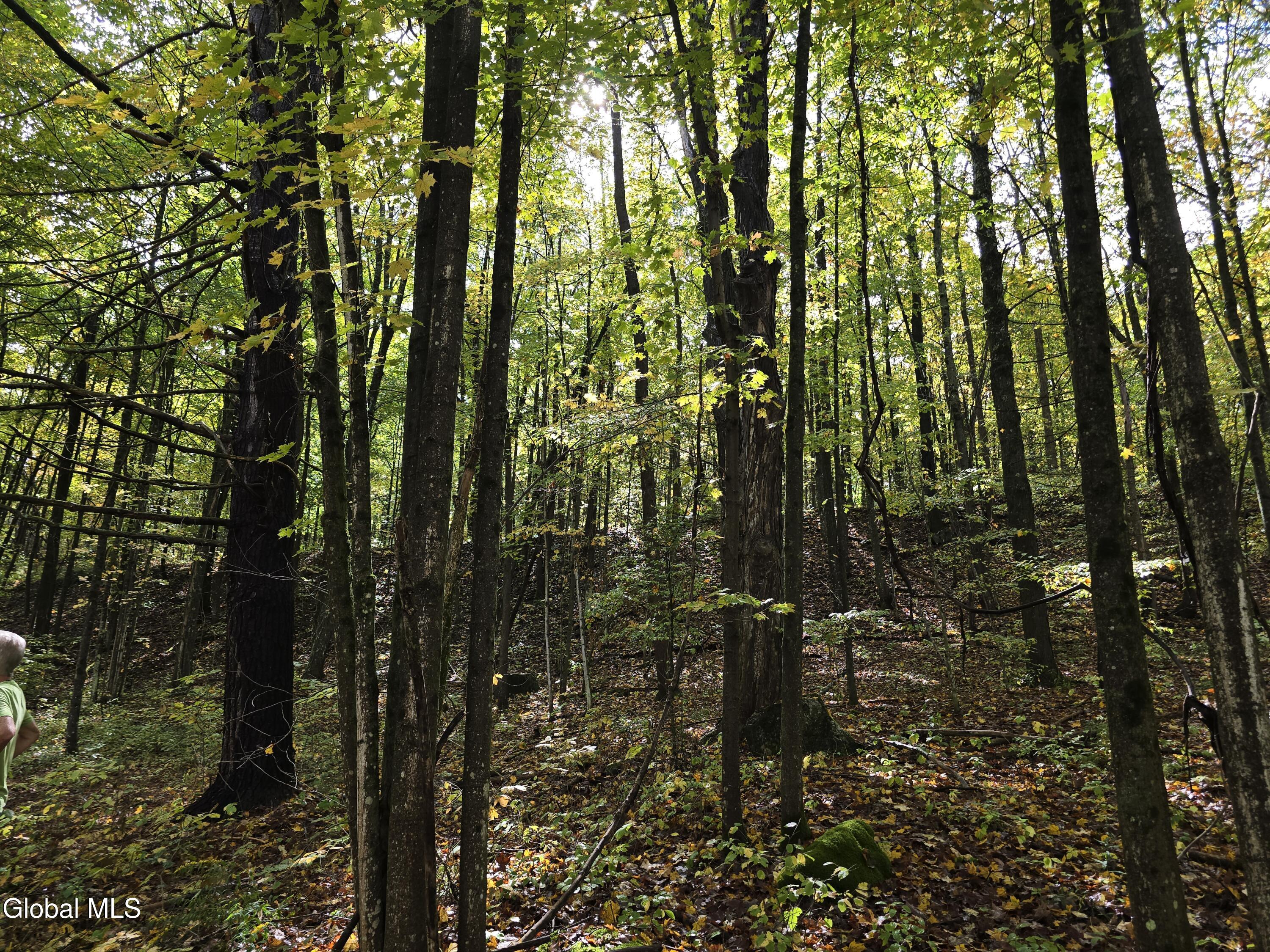 L25 River Road Ticonderoga, NY 12883 - Photo 8 of 11 20250926_133502