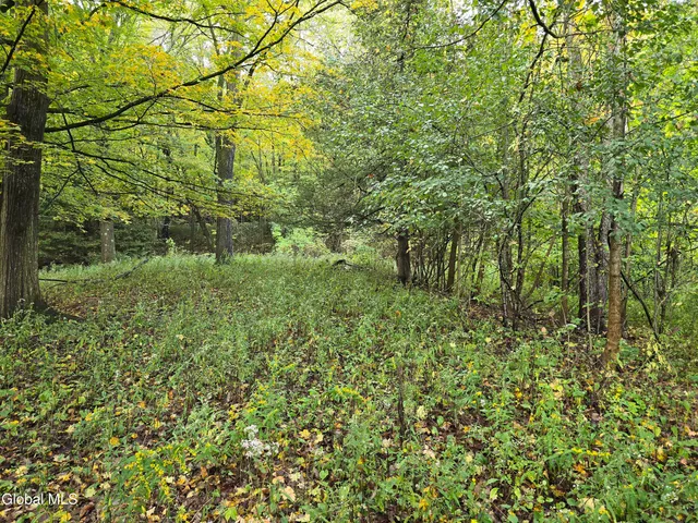 $35,000 | L25 River Road, Ticonderoga, NY 12883