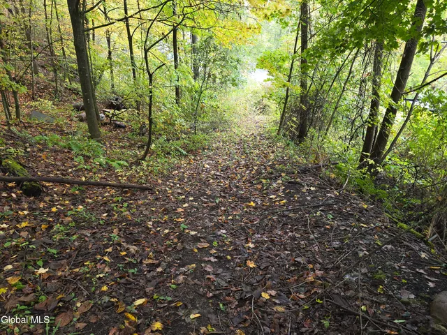 $35,000 | L25 River Road, Ticonderoga, NY 12883