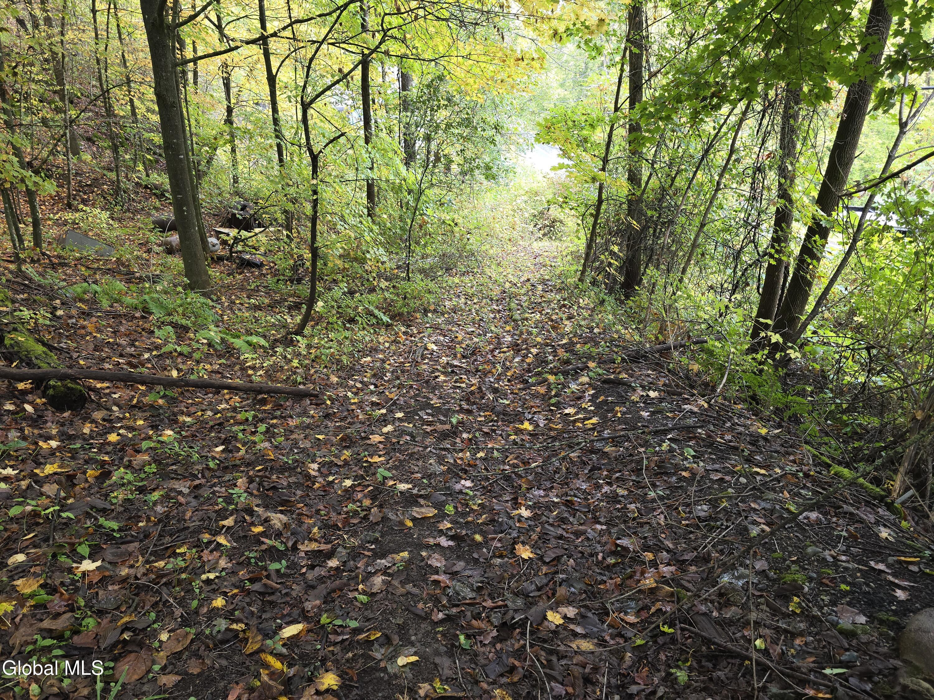 L25 River Road Ticonderoga, NY 12883 - Photo 10 of 11 20250926_132040