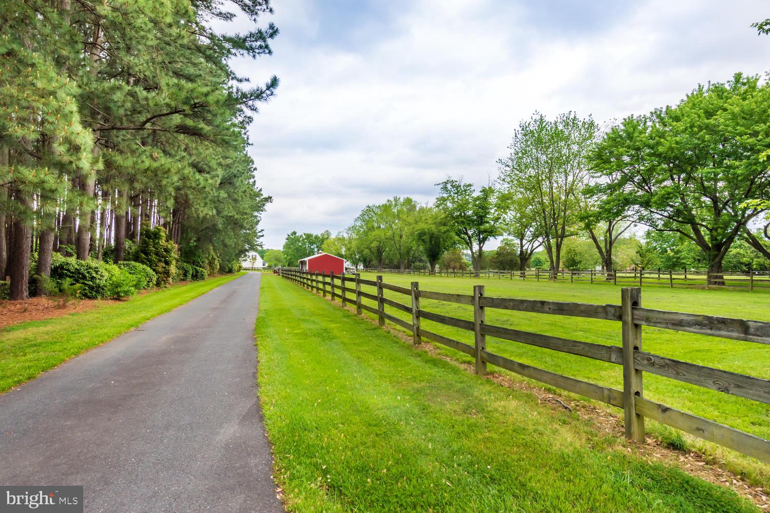 25474 Chance Farm Road St. Michaels, MD 21663 - Photo 2 of 52 A look down the driveway from the entrance