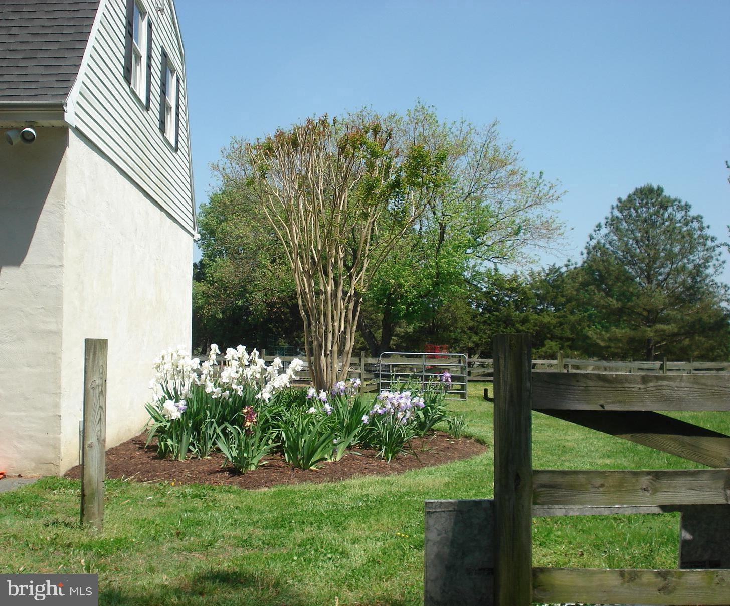 25474 Chance Farm Road St. Michaels, MD 21663 - Photo 46 of 52 Iris in bloom by garage with guest quarters