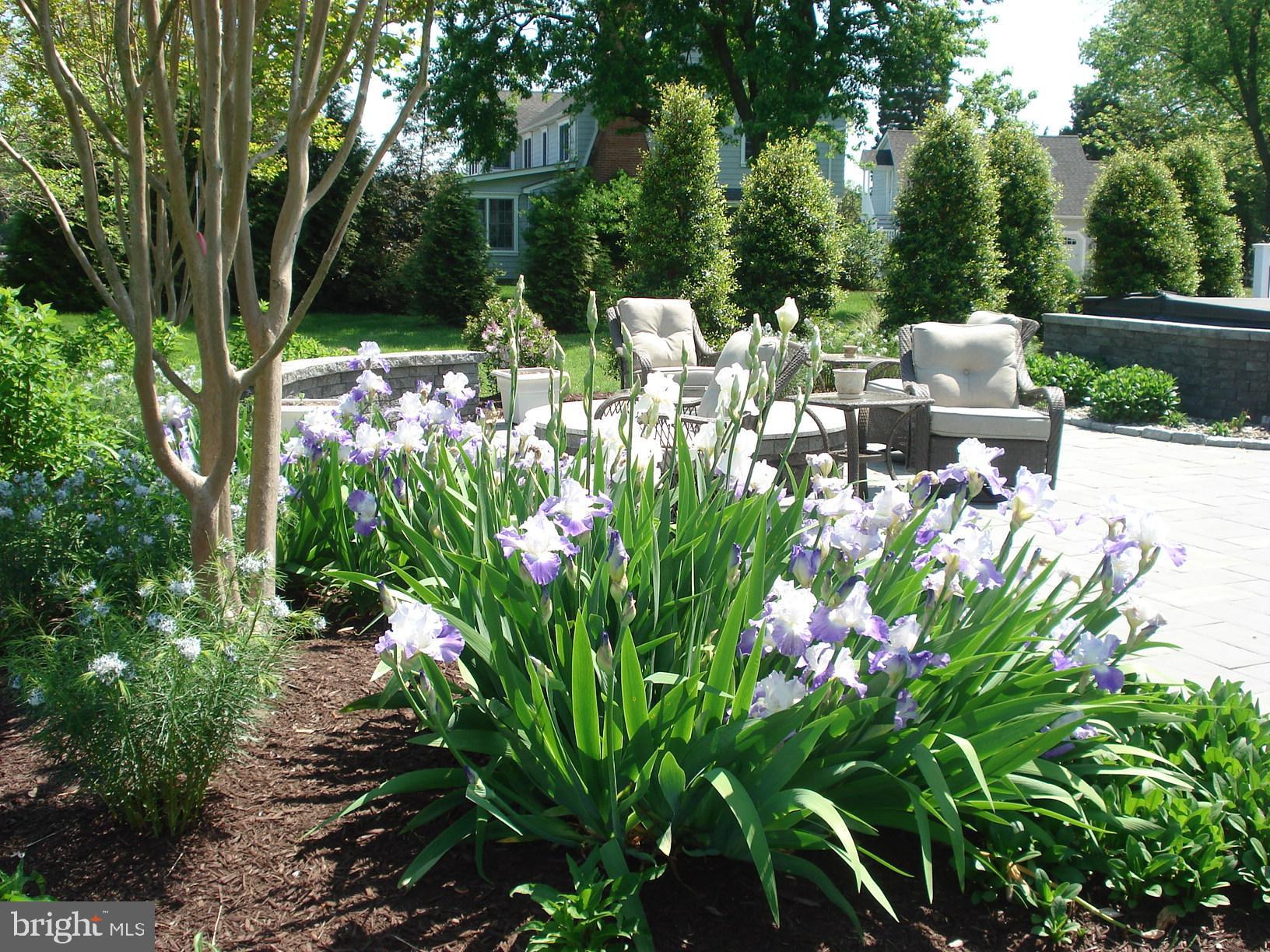 25474 Chance Farm Road St. Michaels, MD 21663 - Photo 10 of 52 Iris in bloom by the pool