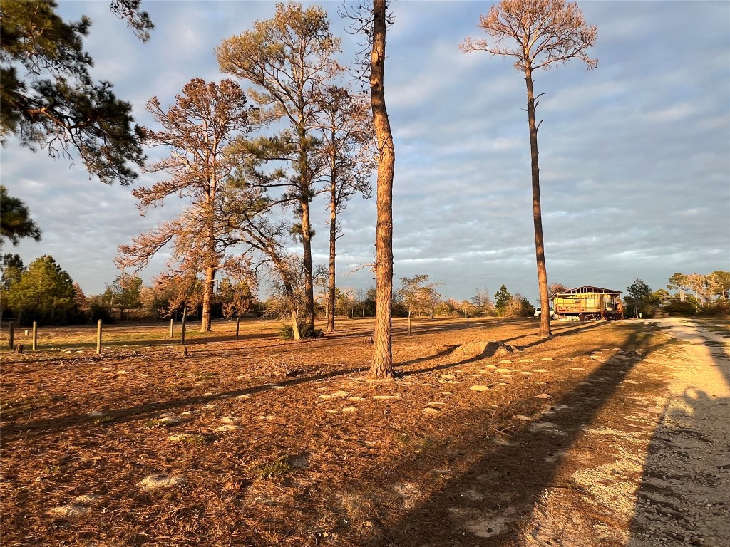 562 Pine Tree Loop, Unit B Bastrop, TX 78602 - Photo 11 of 18 a view of a yard with an trees