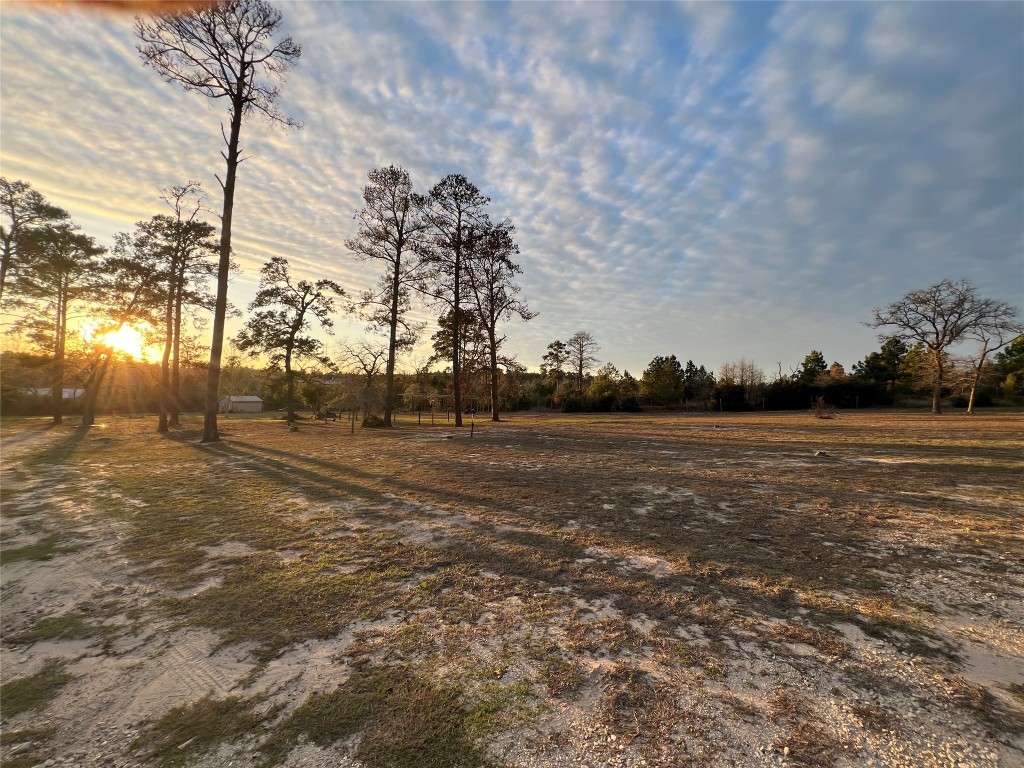 562 Pine Tree Loop, Unit B Bastrop, TX 78602 - Photo 13 of 18 a view of large trees with outdoor space