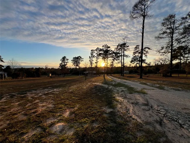 a view of a yard with an trees