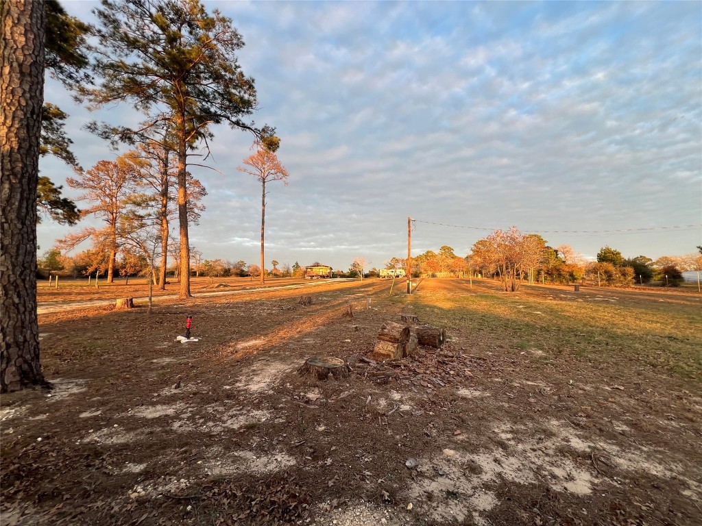 562 Pine Tree Loop, Unit B Bastrop, TX 78602 - Photo 15 of 18 a view of a lake