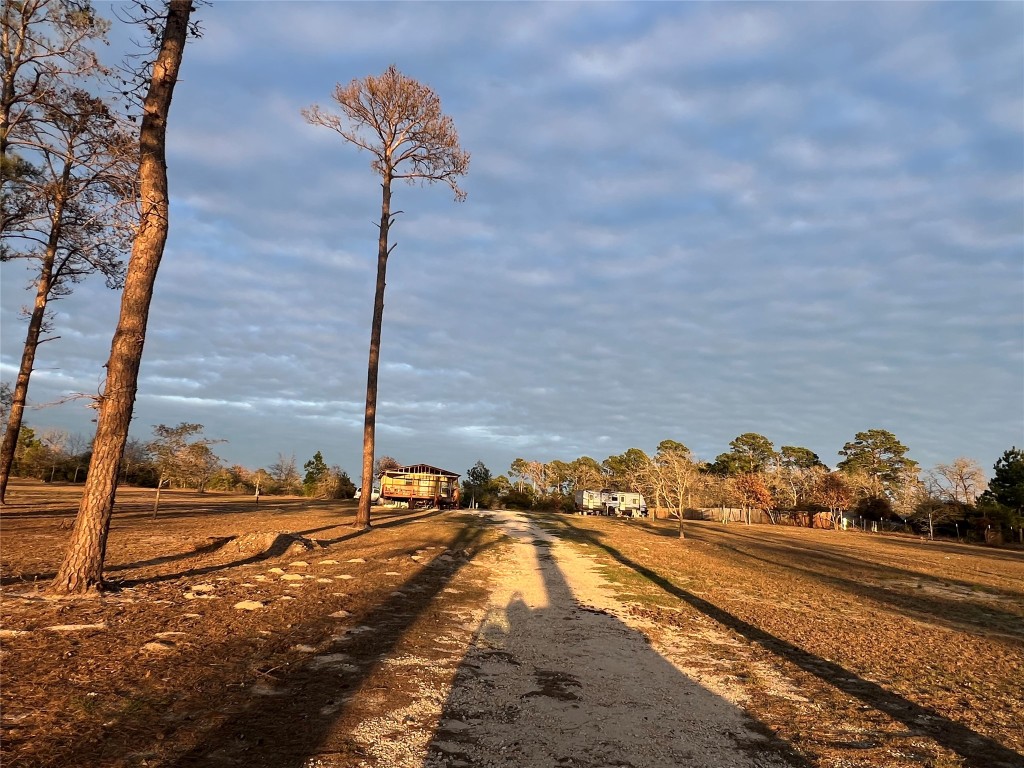 562 Pine Tree Loop, Unit B Bastrop, TX 78602 - Photo 2 of 18 a vase of flowers sitting on a table