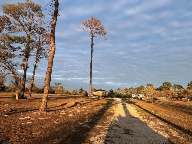 a view of a yard with street