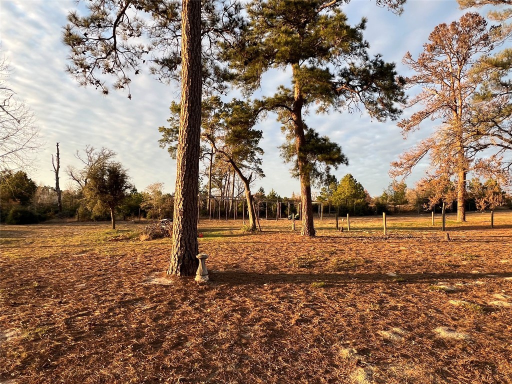 562 Pine Tree Loop, Unit B Bastrop, TX 78602 - Photo 10 of 18 a view of dirt yard with a trees