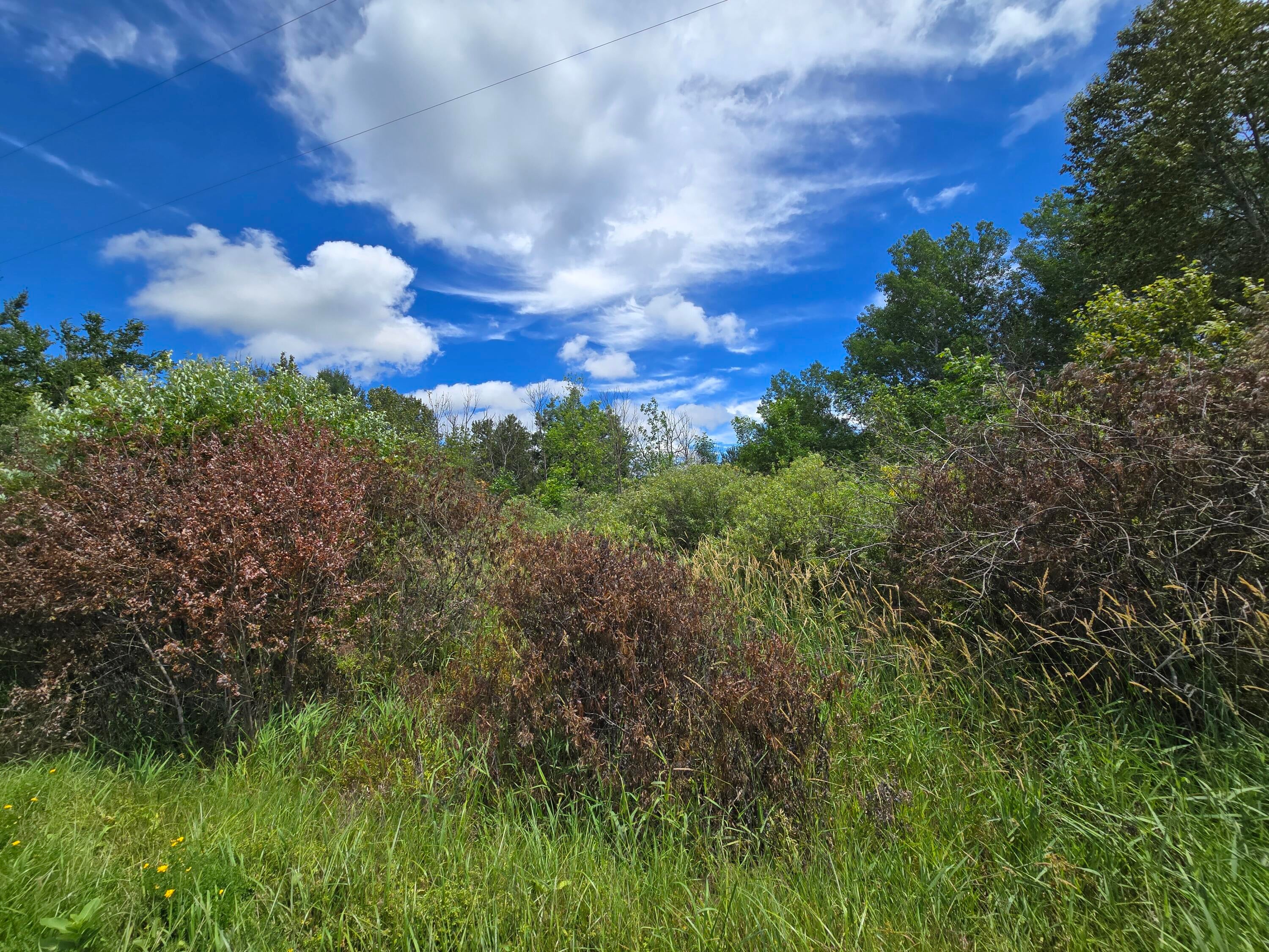 North Everett Road Roscommon, MI 48653 - Photo 13 of 14 Gallery Image 13