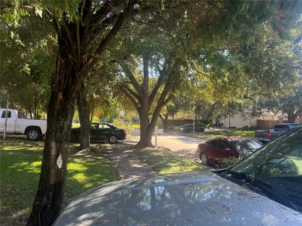 a view of yard with trees