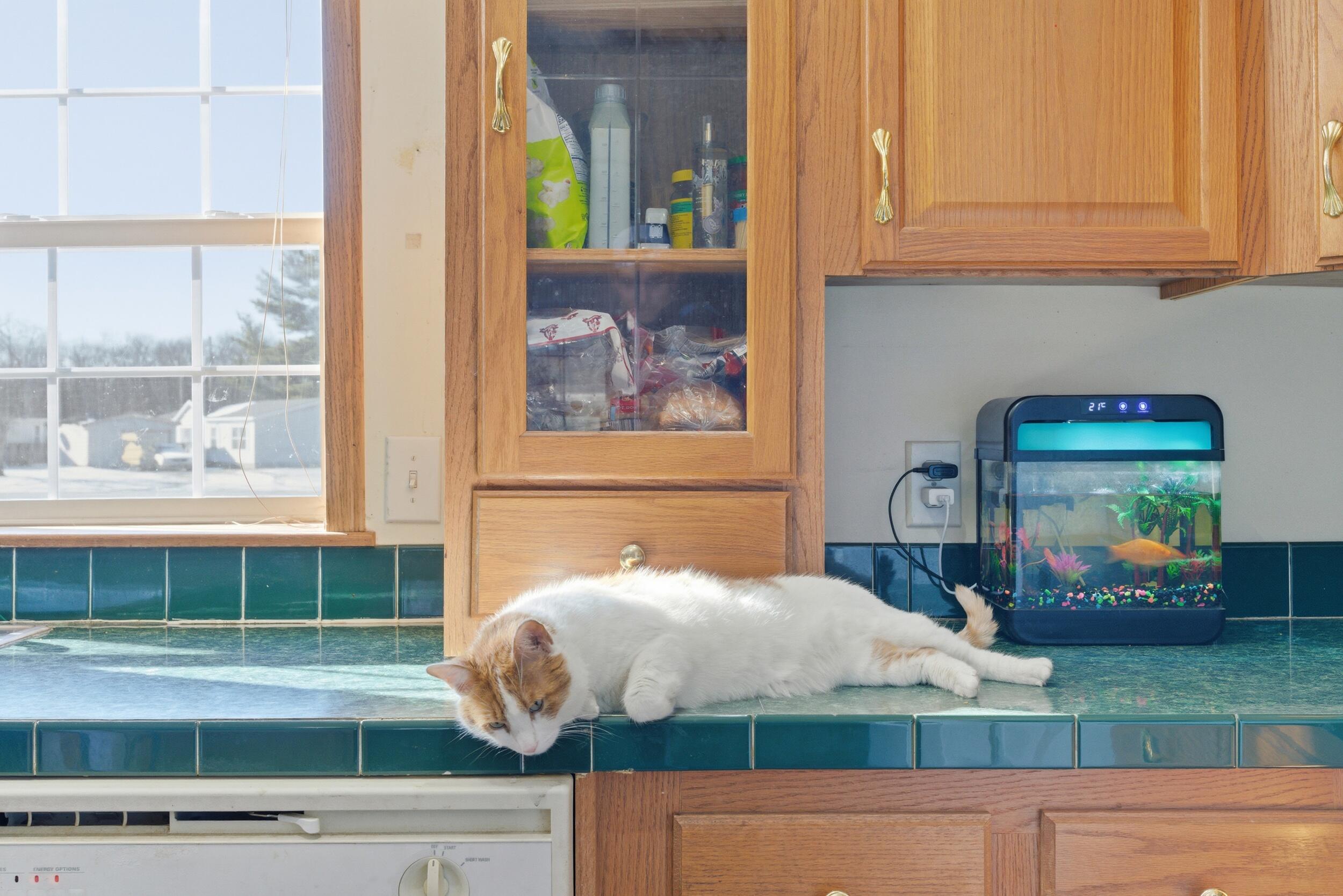 4827 East 994 North Demotte, IN 46310 - Photo 20 of 25 a bedroom with a bed and window