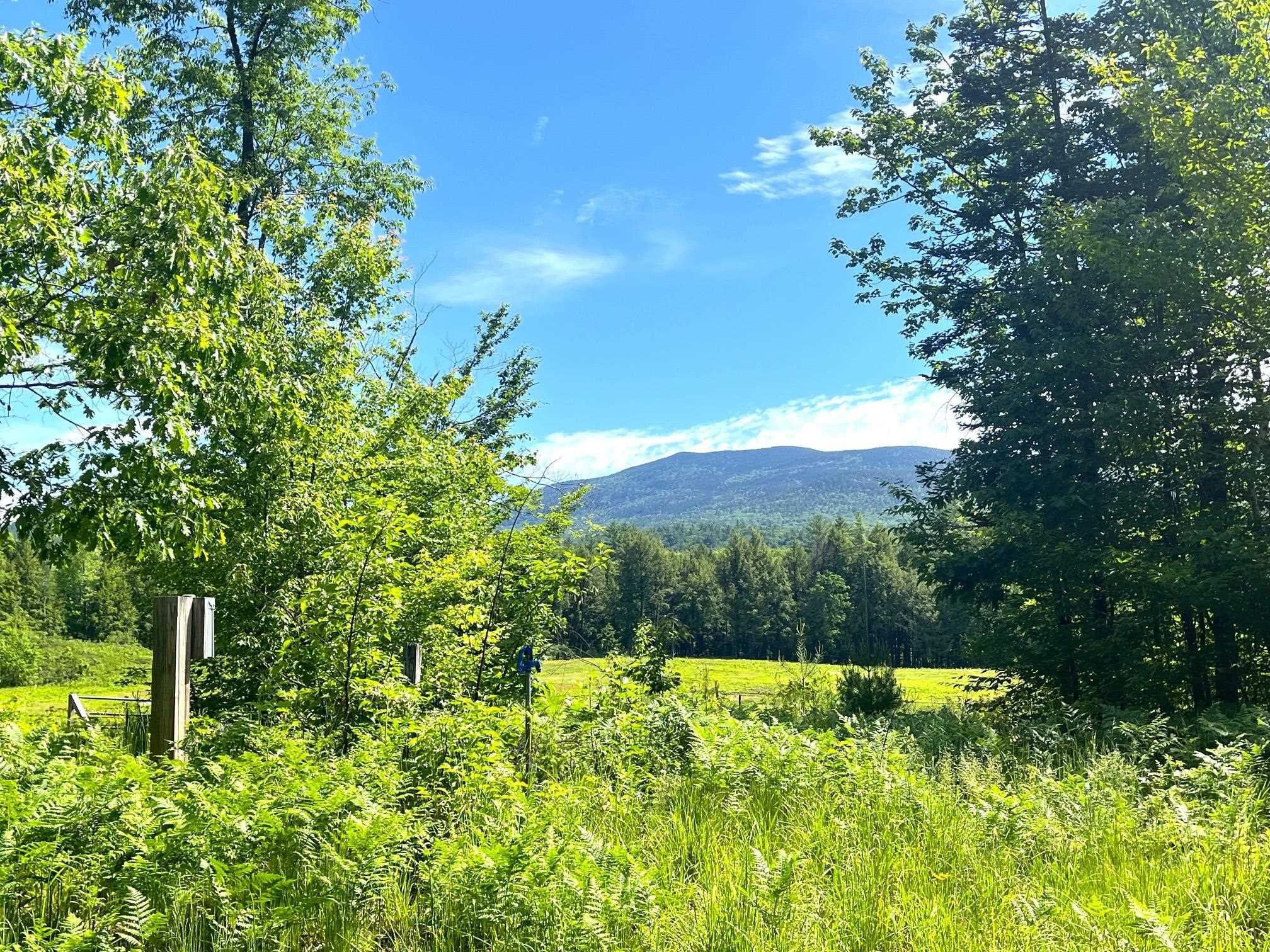 139 A Turner Road Wentworth, NH 03282 - Photo 14 of 19
