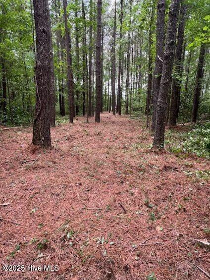 312 Riversound Drive Edenton, NC 27932 - Photo 1 of 12 Lot 222 Partially Cleared