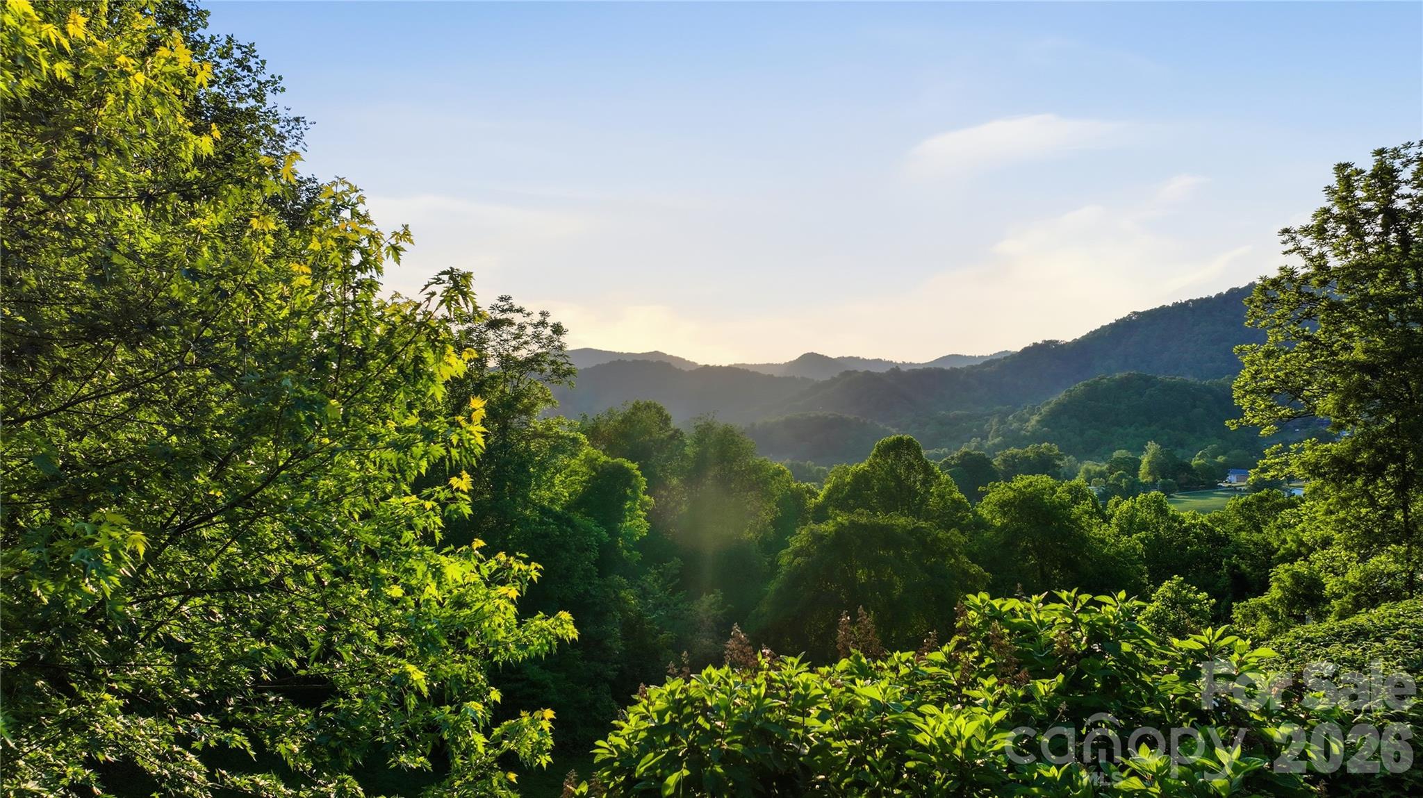 15 Raccoon Point Canton, NC 28716 - Photo 40 of 48 a view of a lush green forest with trees in the background