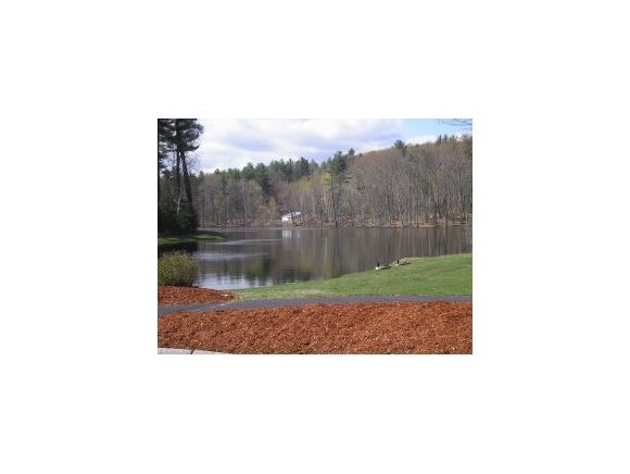 52 Hickory Lane, Unit 52 Windham, NH 03087 - Photo 3 of 28 Gallery Image 3