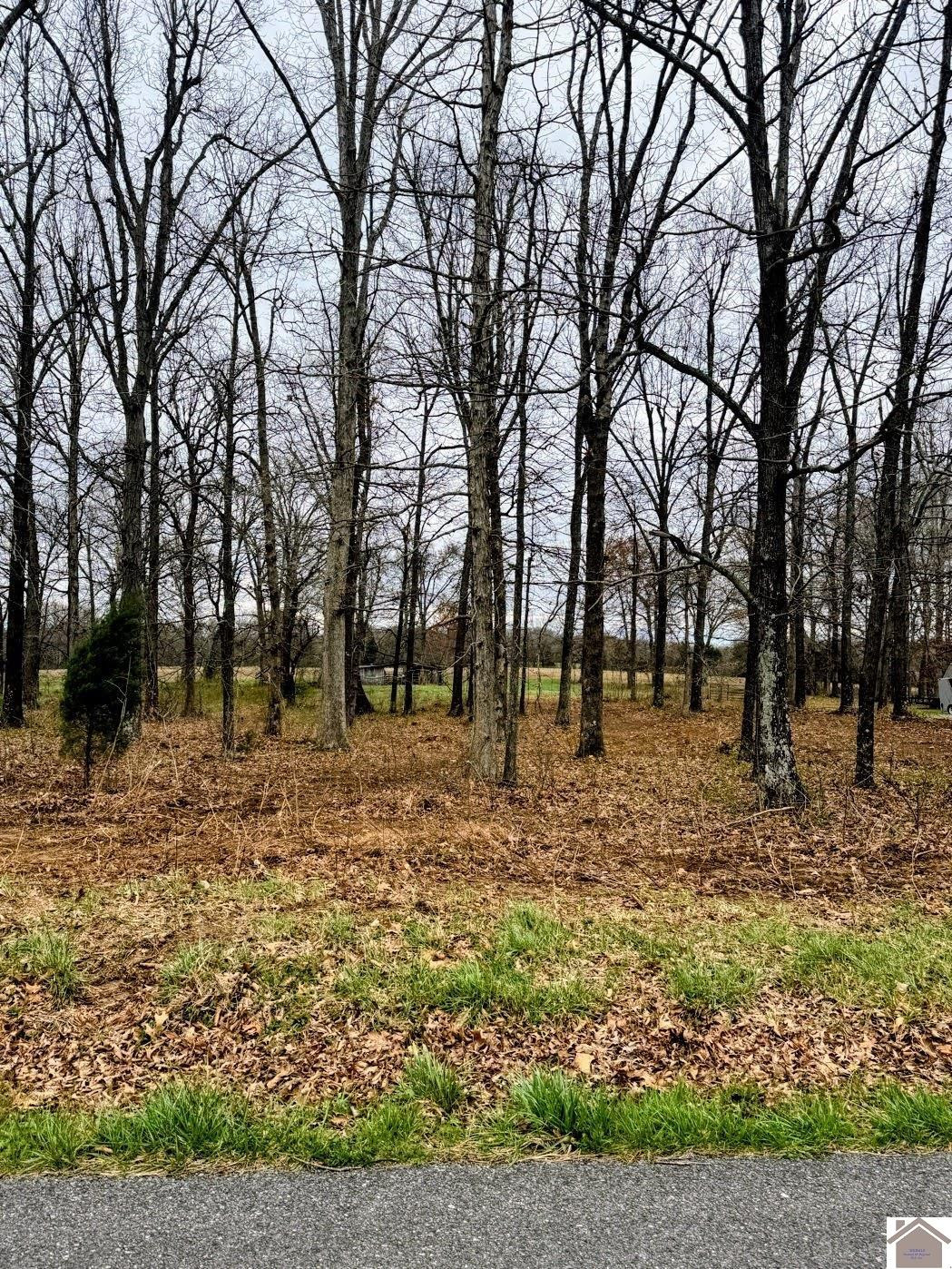 0 Bill Butler Road Hardin, KY 42048 - Photo 4 of 6 Photo 4