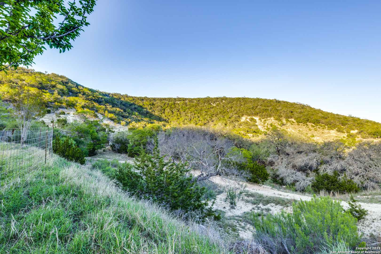 824 Juniper Road Tarpley, TX 78883 - Photo 11 of 37