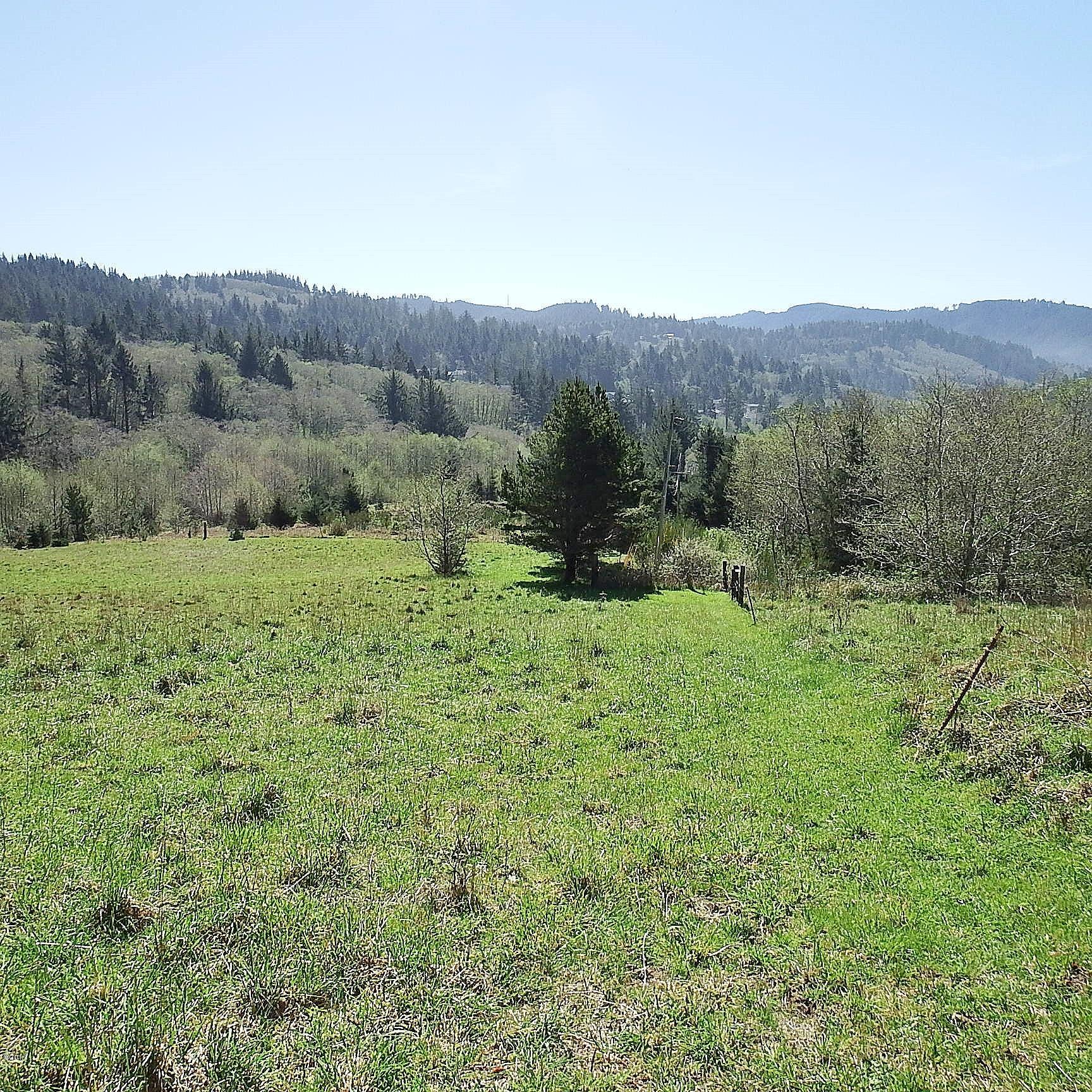 6205 Scherzinger Road Neskowin, OR 97149 - Photo 67 of 88 Pasture