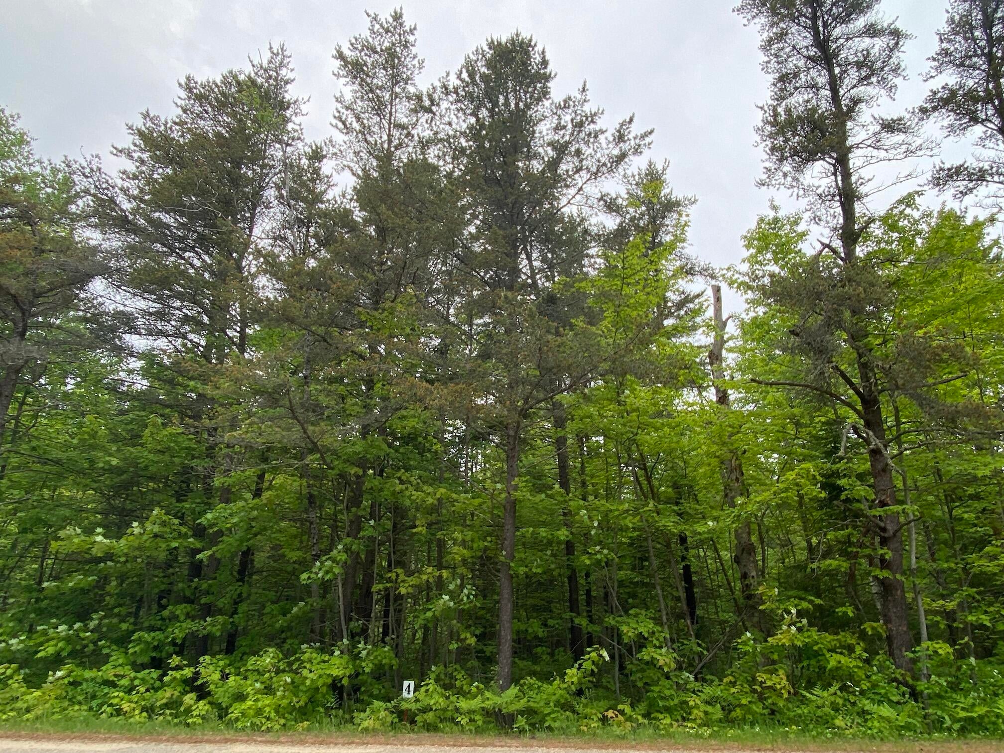 14777 North Whitefish Point Road Paradise, MI 49768 - Photo 1 of 4 Gallery Image 1