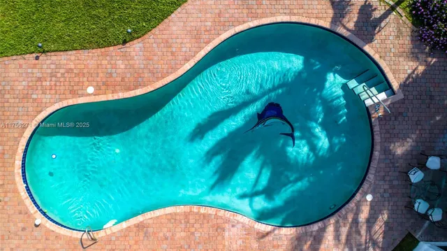 an aerial view of a swimming pool