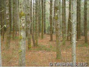 0 Old Toxaway Road Brevard, NC 28712 - Photo 5 of 6